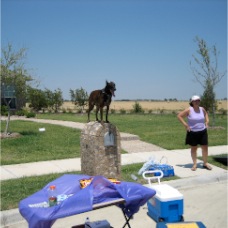 Calvin Holding Down the Mailbox