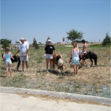 Jill with the Horses